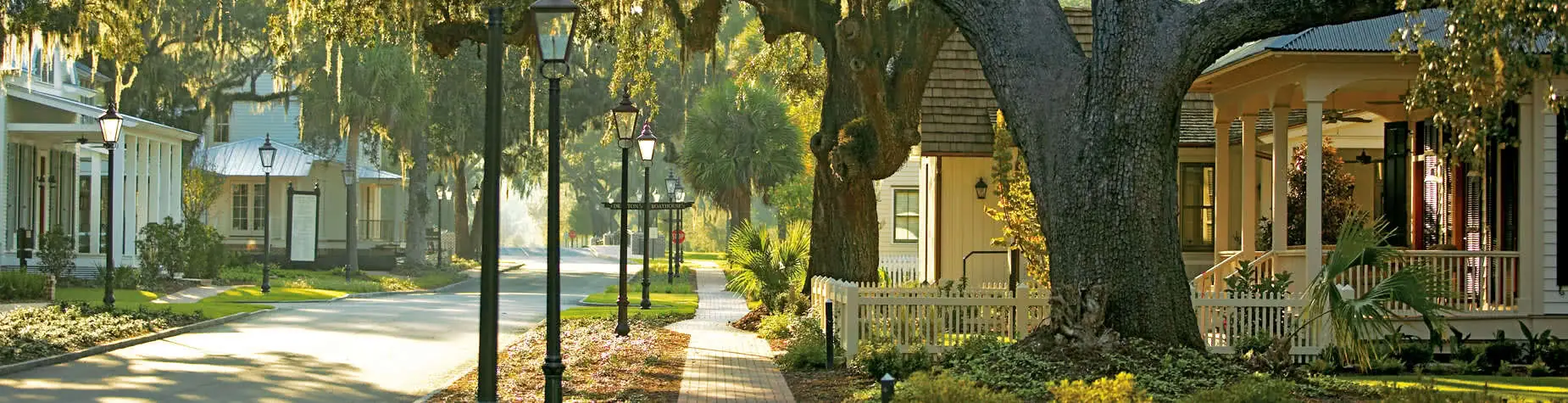 Palmetto Streets