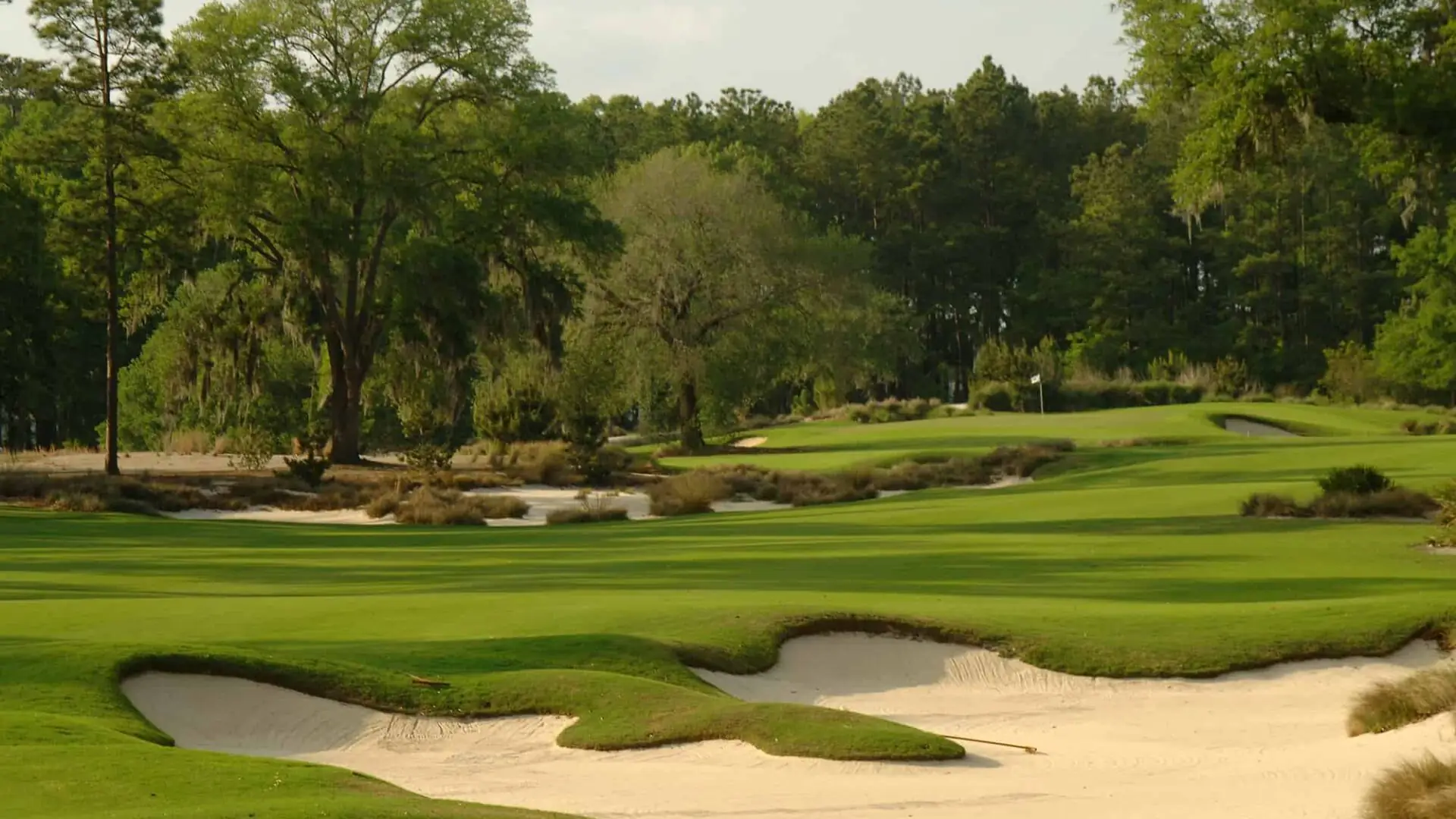 Palmetto Bluff Golf Course | Hole Four | 565 Yards | Par Five