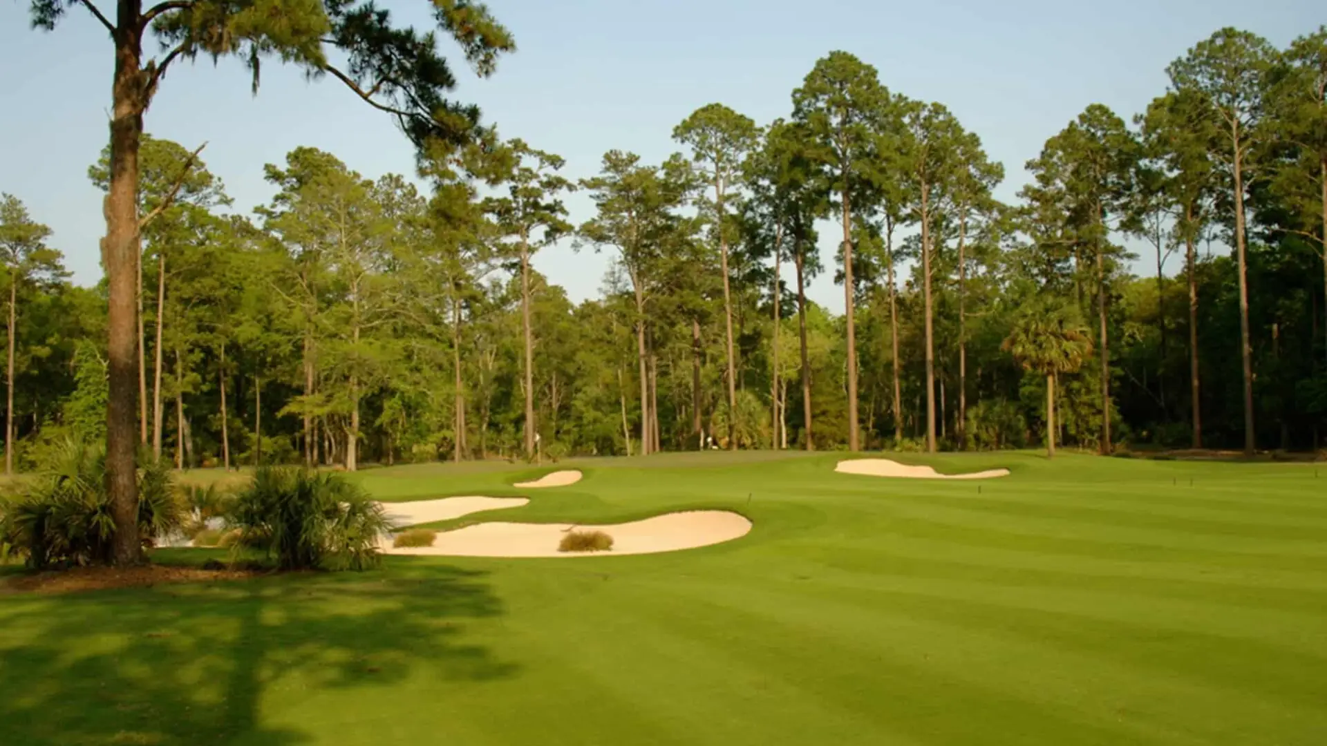 Golfing in South Carolina | Hole Five | 442 Yards | Par Four