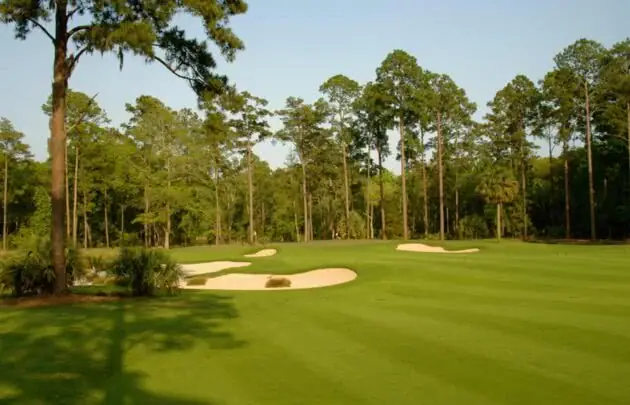 Golfing in South Carolina | Hole Five | 442 Yards | Par Four