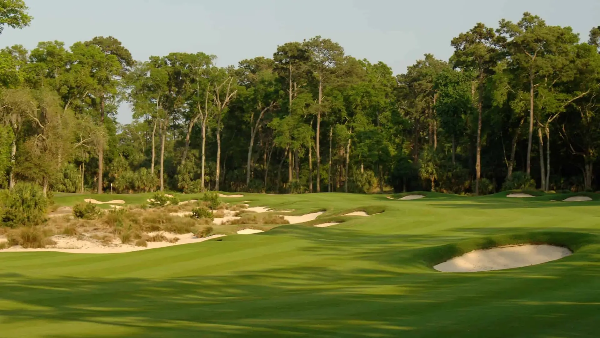 Palmetto Bluff Golfing | Hole Eight | 555 Yards | Par Five