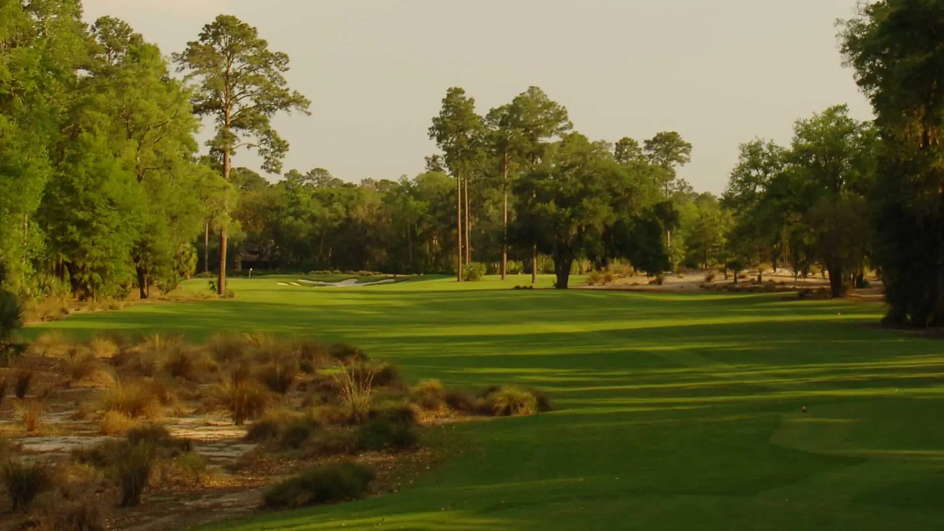 May River Golfing Hole Nine | 471 Yards | Par Four