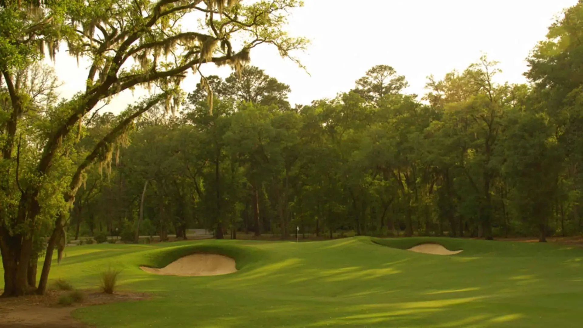 Hole Fifteen at May River Golf Course | 535 Yards | Par Five