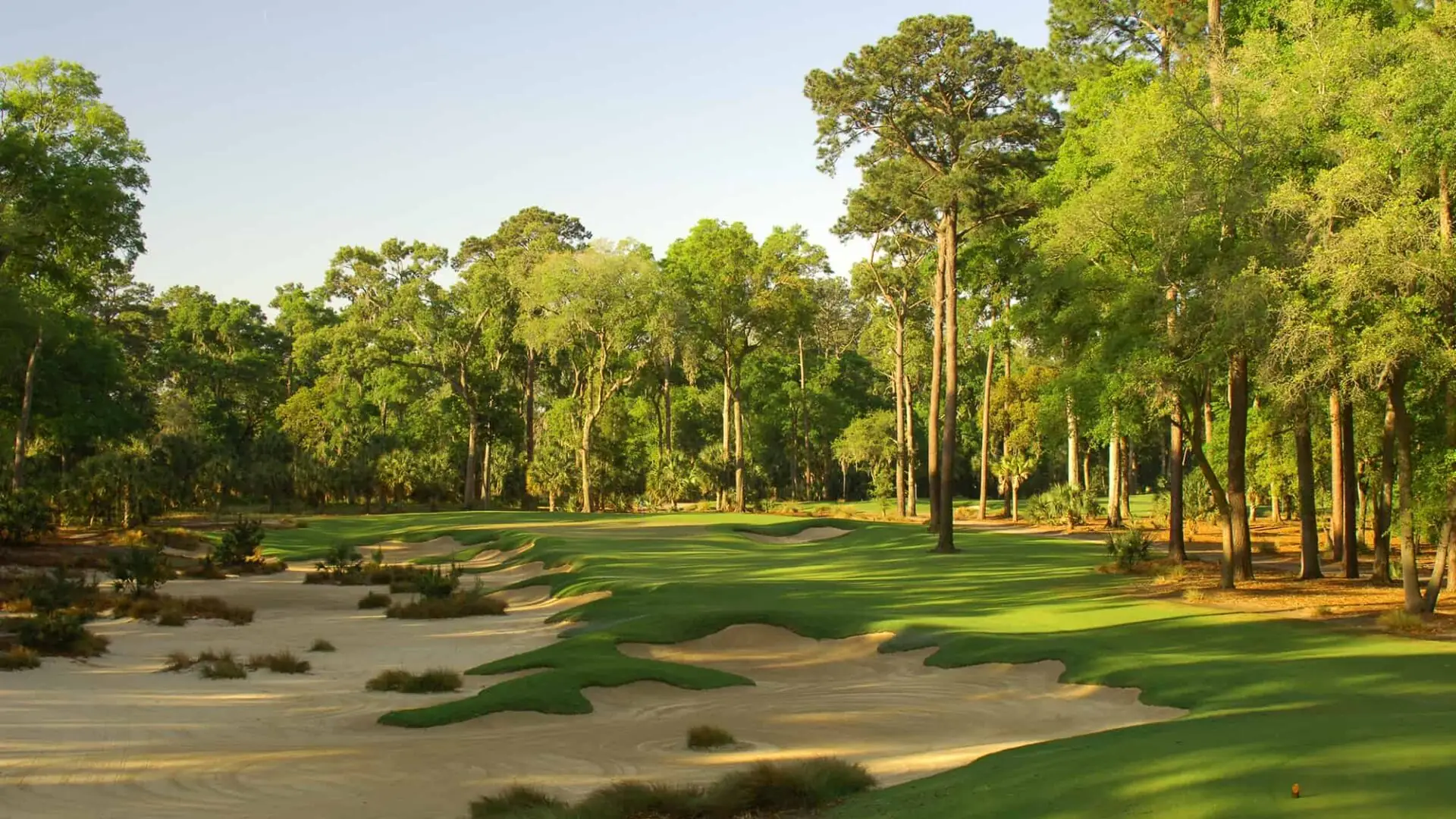 Hole Seventeen | 234 Yards | Par Three