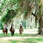 Horseback Trail Ride at Longfield Stables