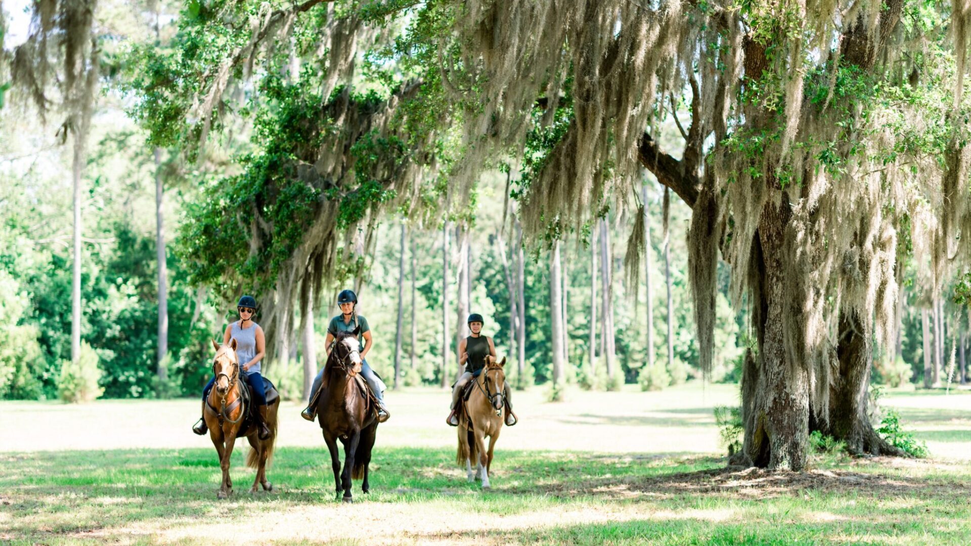 Horseback Trail Ride at Longfield Stables