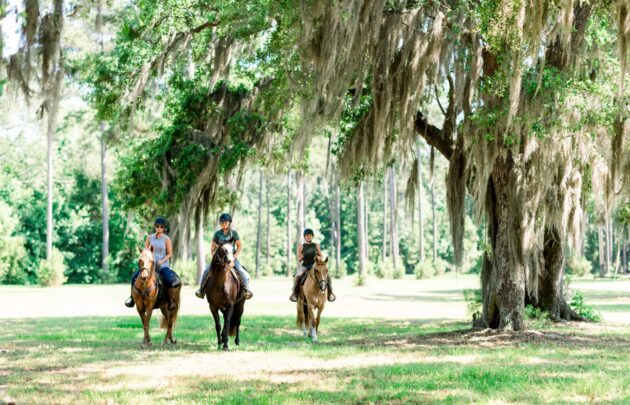 Horseback Trail Ride at Longfield Stables