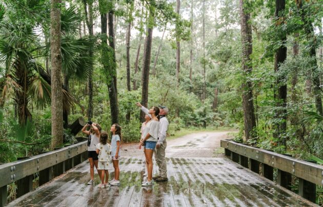 Naturalist Tour at Montage Palmetto Bluff