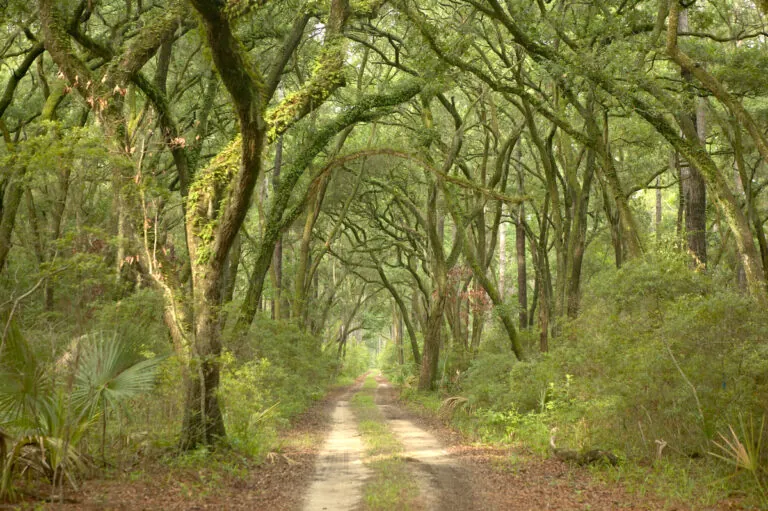 River Road