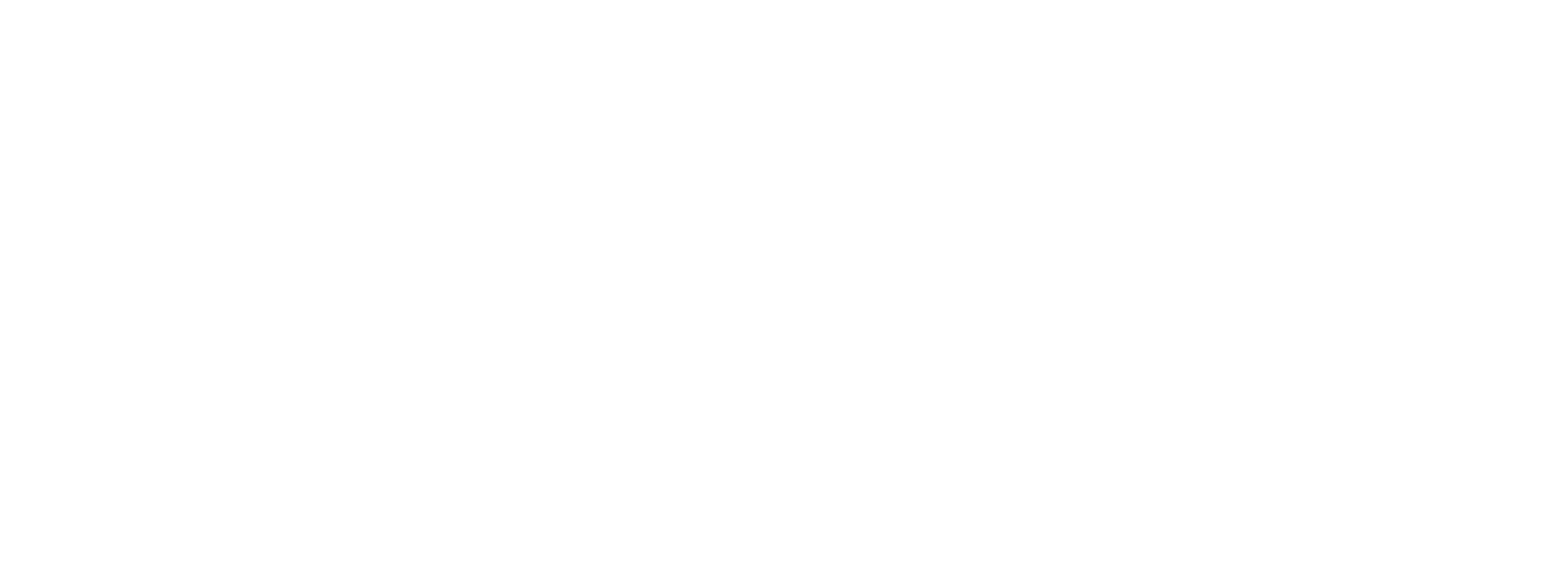 FLMAE logo