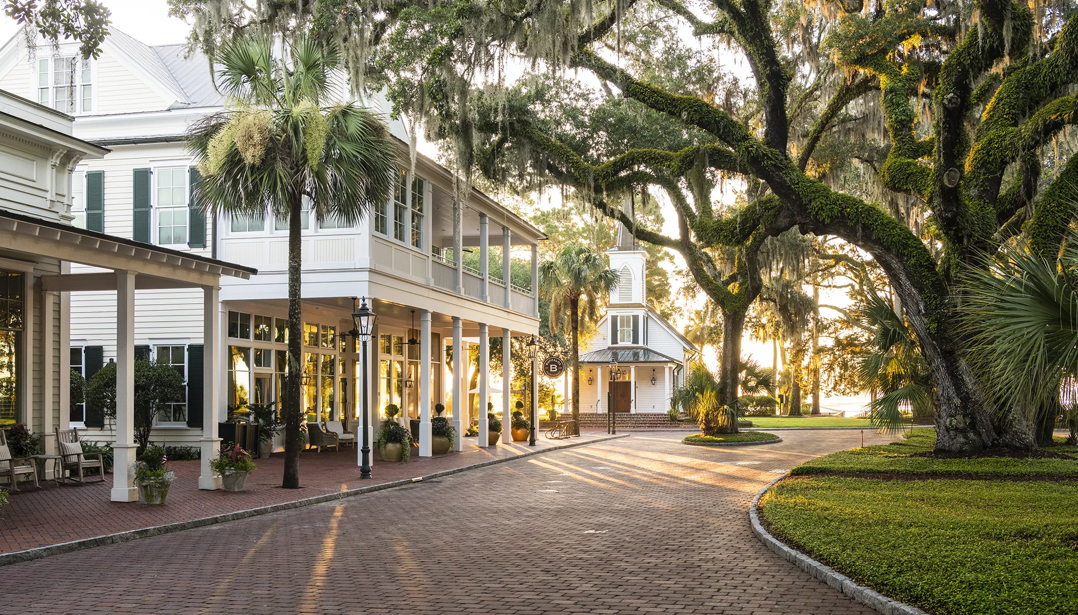 Buffalos in Wilson Village