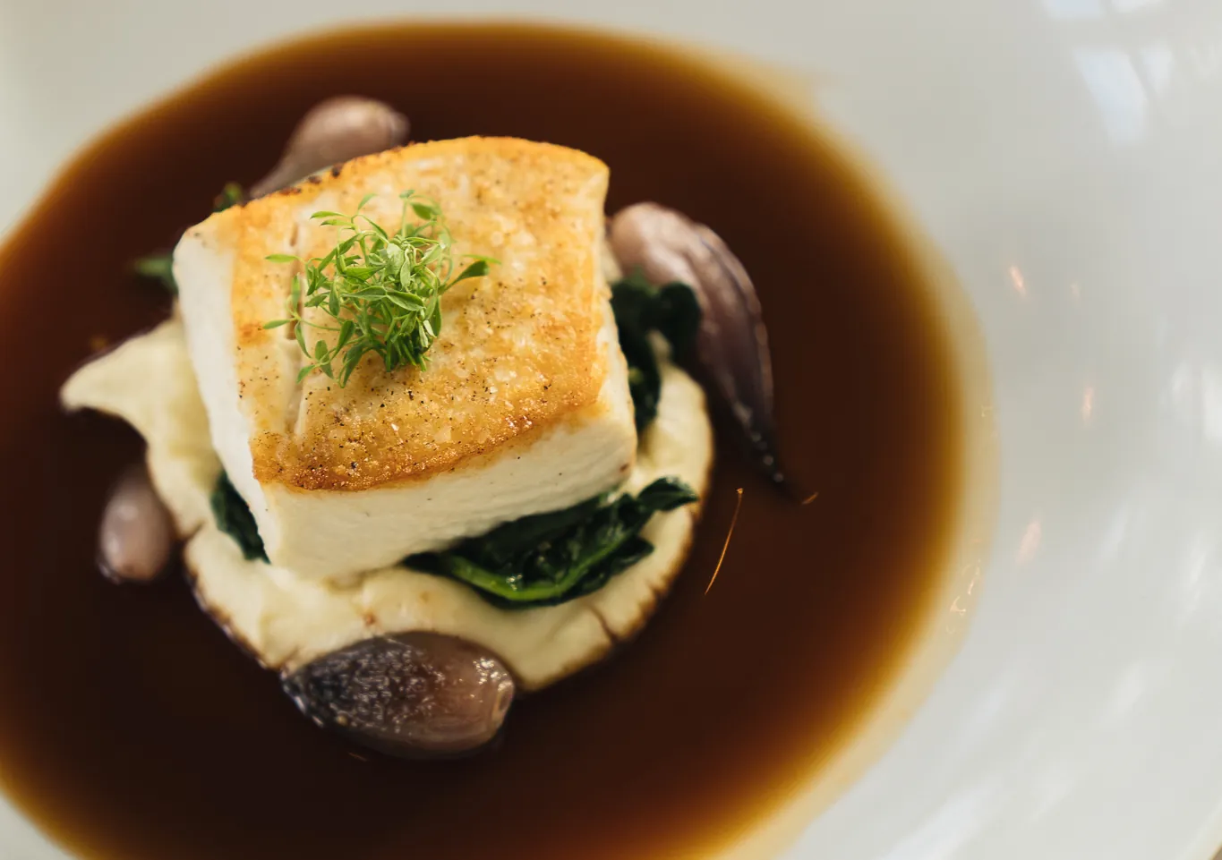 Fish dish at River House