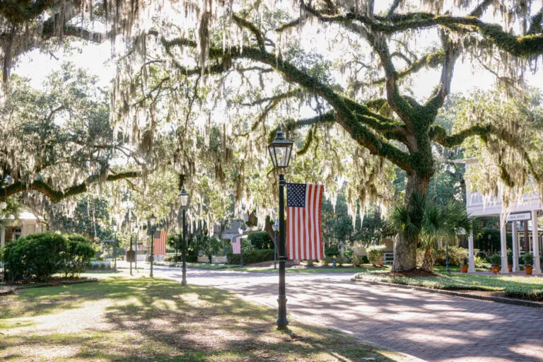 American Flags in Wilson Village