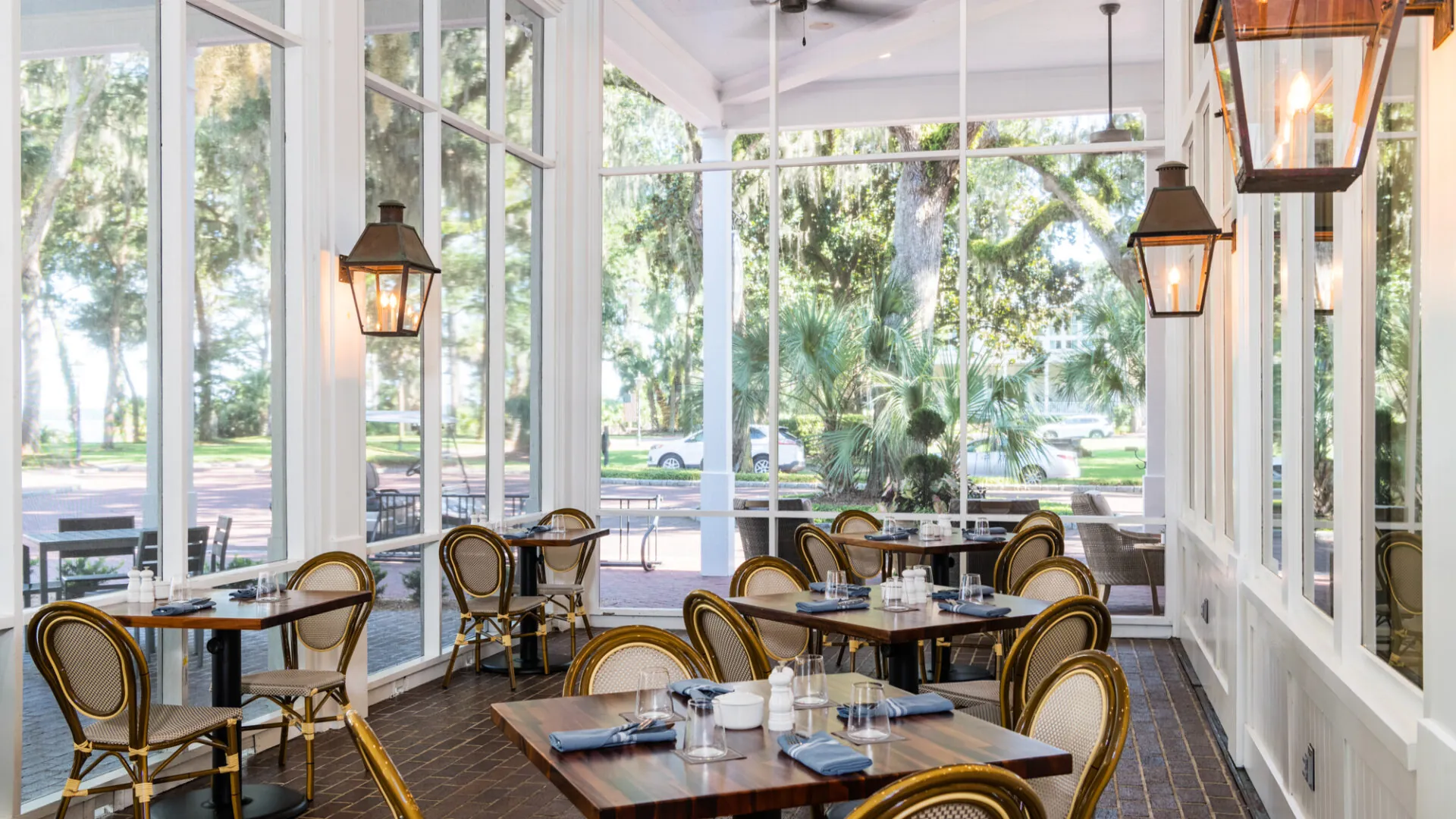 Buffalos at Montage Palmetto Bluff